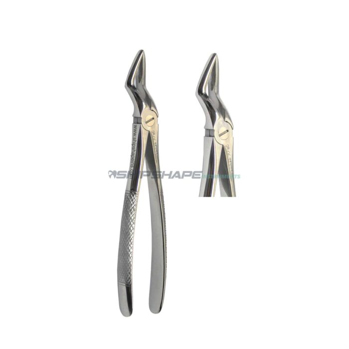 Extraction Forceps #51 Upper Roots