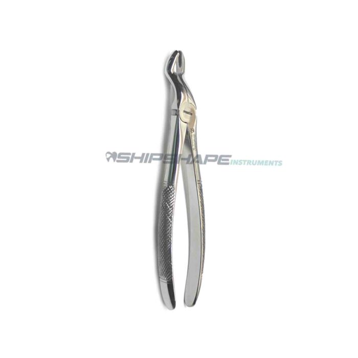 Extracting Forceps #67 Upper Molars