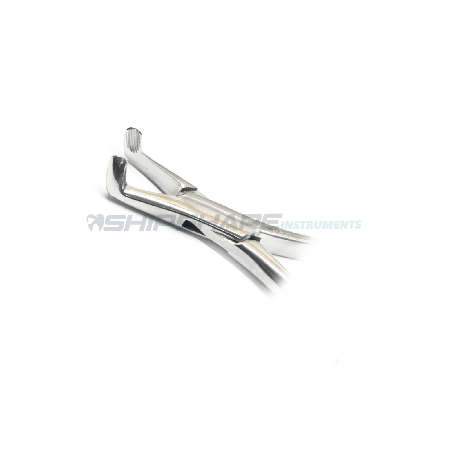 Tooth Extracting Forceps # 222 Predictable Dental Oral Extraction Procedure Tool | Shipshape Instruments-1585