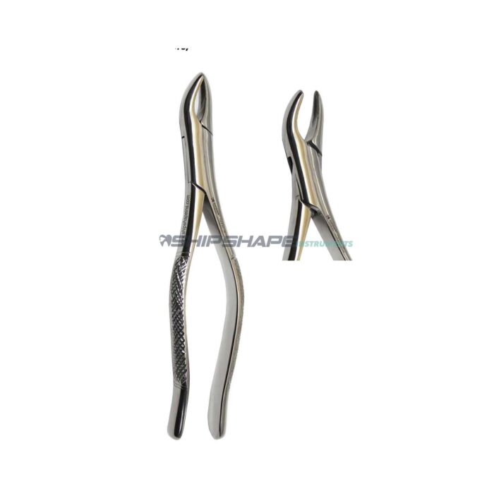 Extraction Forceps 62 Universal Upper & Lower